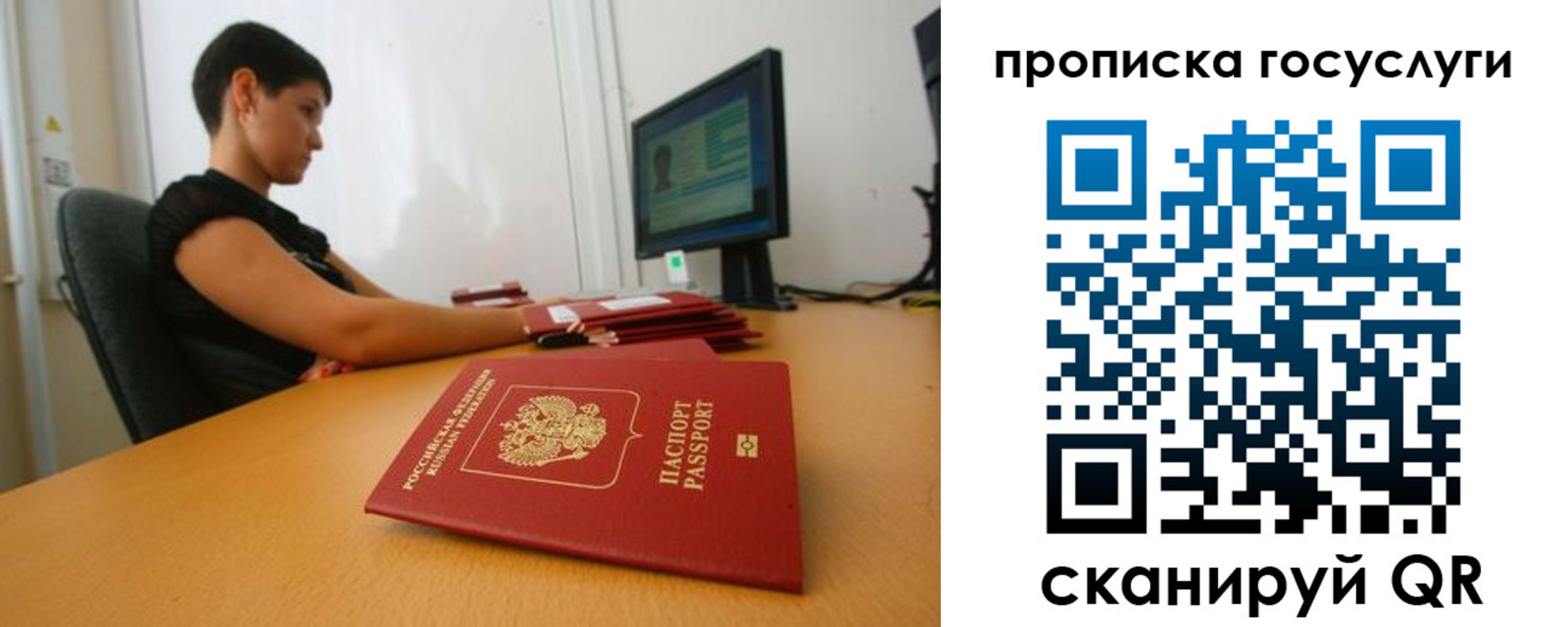 прописка гарантия в Светлогорске